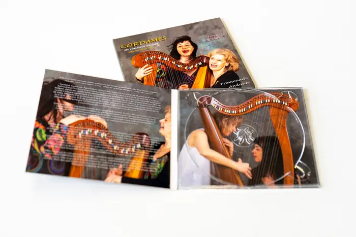 Digipack με 2 πάνελ — παραδοσιακό άλμπουμ